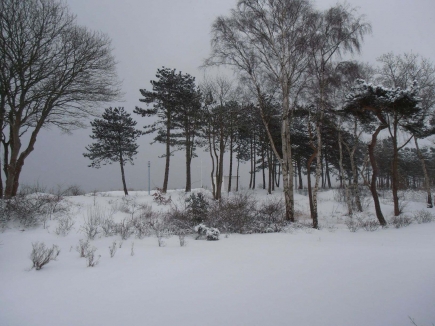 Winter in Juliusruh